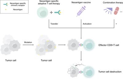 The Clinical Application of Neoantigens in Esophageal Cancer